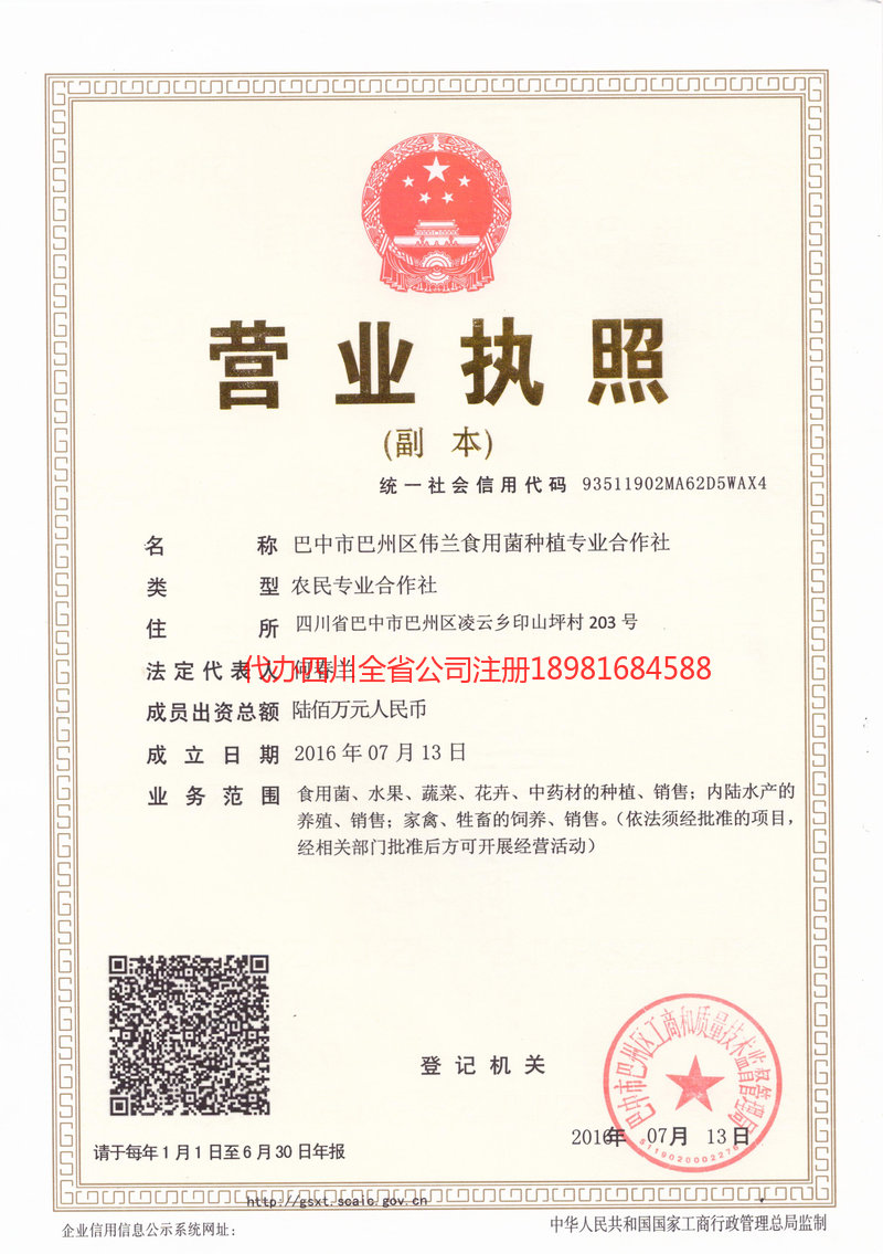 藁城藁城伟兰食用菌种植专业合作社